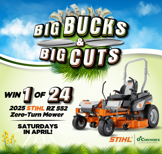 Featured Promotion
