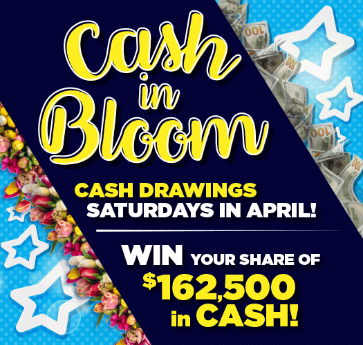 Cash in Bloom
